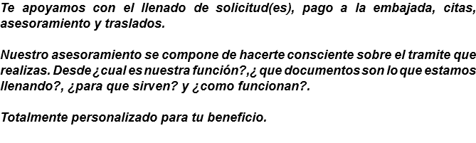 Te apoyamos con el llenado de solicitud(es), pago a la embajada, citas, asesoramiento y traslados. Nuestro asesoramiento se compone de hacerte consciente sobre el tramite que realizas. Desde ¿cual es nuestra función?,¿ que documentos son lo que estamos llenando?, ¿para que sirven? y ¿como funcionan?. Totalmente personalizado para tu beneficio.
